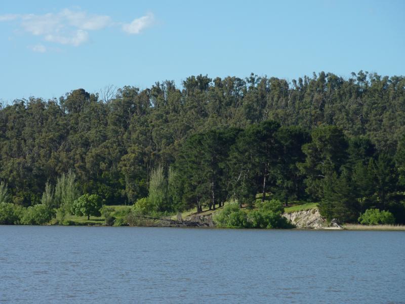 Moe - Turras Beach, west end of South Shore Road at Lake Narracan: View across lake from jetty towards northern shoreline
