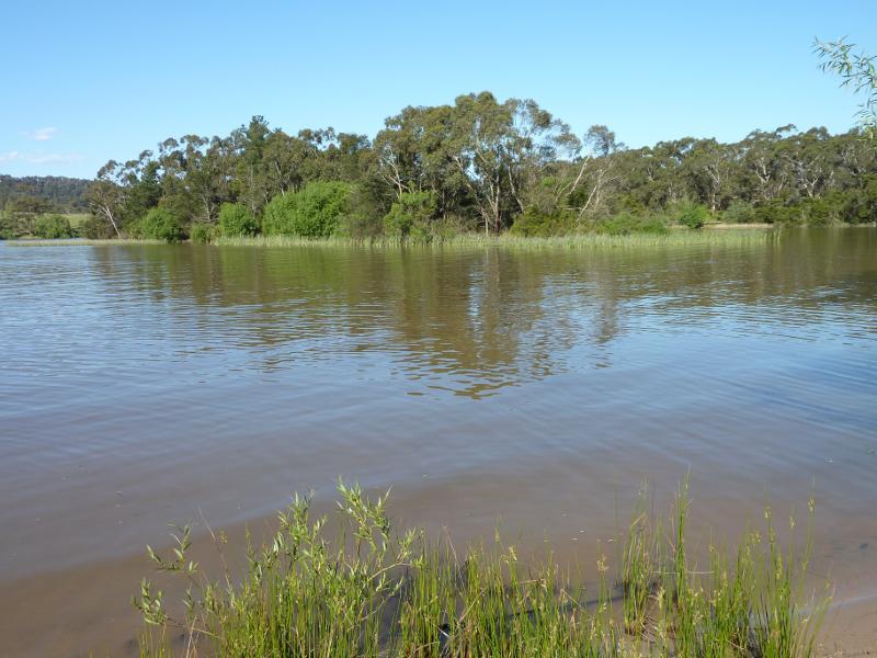 Moe - South side of Lake Narracan along South Shore Road east of Sullivans Rd: Easterly view along lake