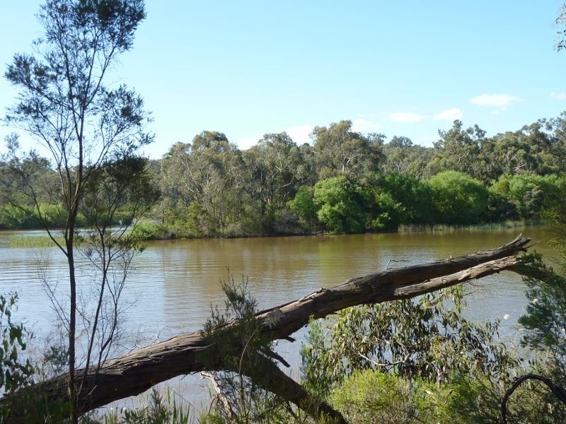 Moe - South side of Lake Narracan along South Shore Road east of Sullivans Rd: View across lake, further eastwards