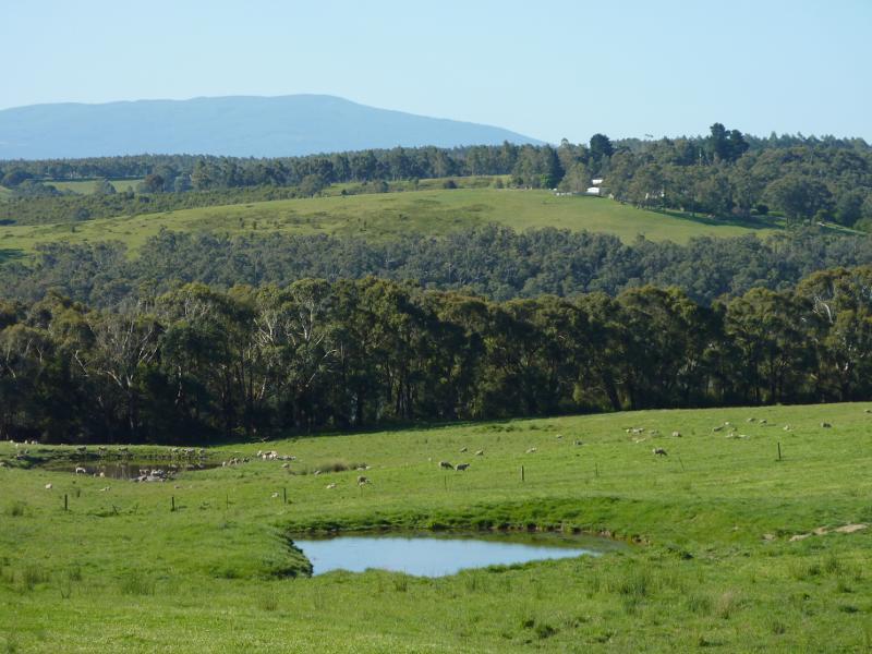Moe - Moe-Glengarry Road, Yallourn: North-easterly view over pastures, east of Thompsons Rd