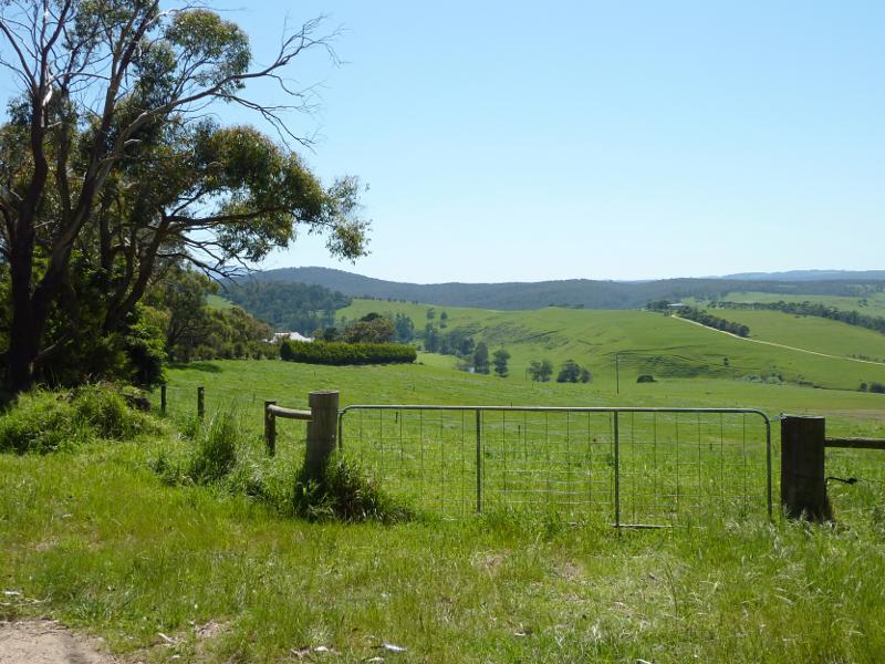Moe - Willow Grove Road north of Moe: North-easterly view at Laidlaws Rd