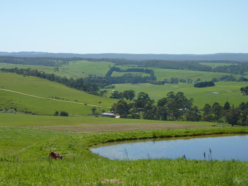 Moe - Willow Grove Road north of Moe: Easterly view at Laidlaws Rd