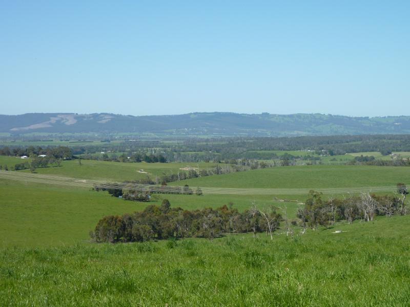 Moe - Willow Grove Road north of Moe: Southerly view near Hoadleys Rd
