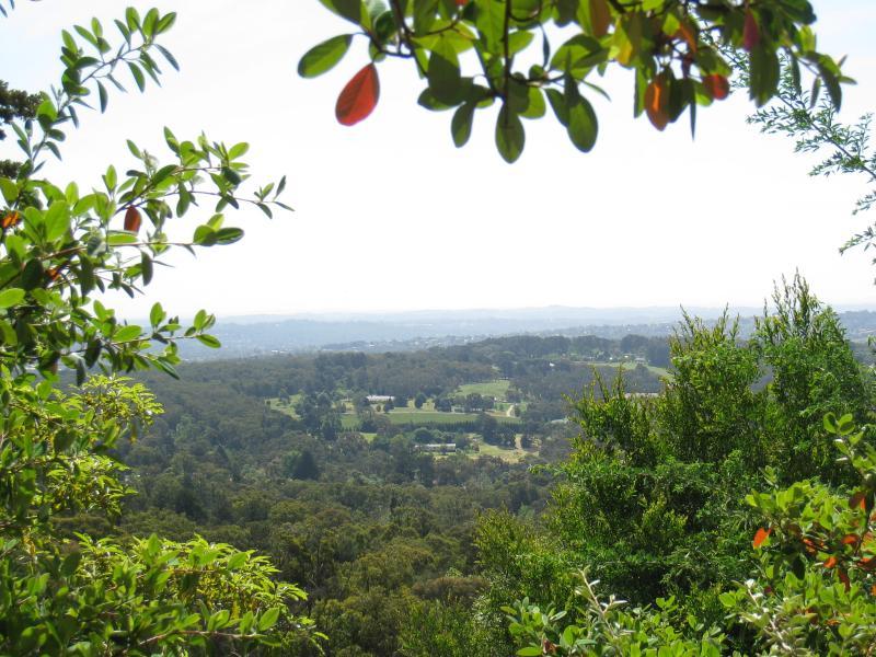 Montrose - Mount Dandenong Tourist Road: View north towards Mount Evelyn, 500 metres east of Browns Road