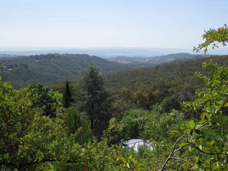 Montrose - Mount Dandenong Tourist Road: North-east view, 500 metres east of Browns Road