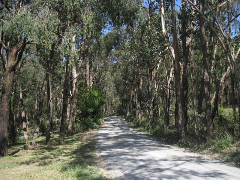 Montrose - Around Montrose: View east along Moore Av through Dandenong Ranges National Park