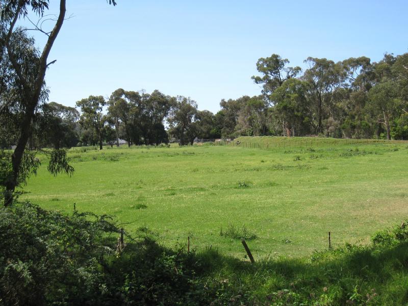 Montrose - Around Montrose: Paddock on Sheffield Rd near Glasgow Rd
