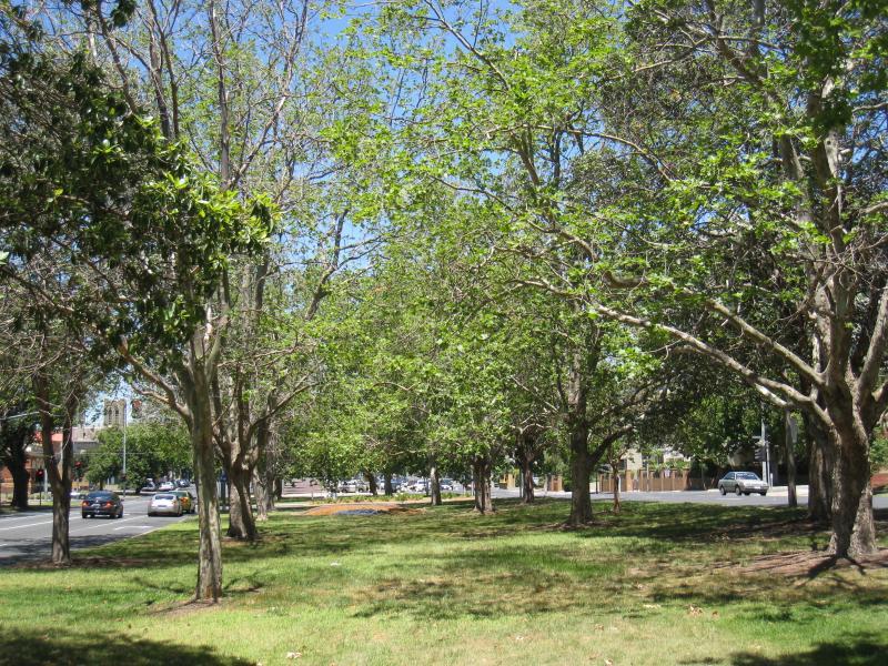 Moonee Ponds - Mount Alexander Road - View south-east through gardens in centre of Mt Alexander Rd towards Taylor St