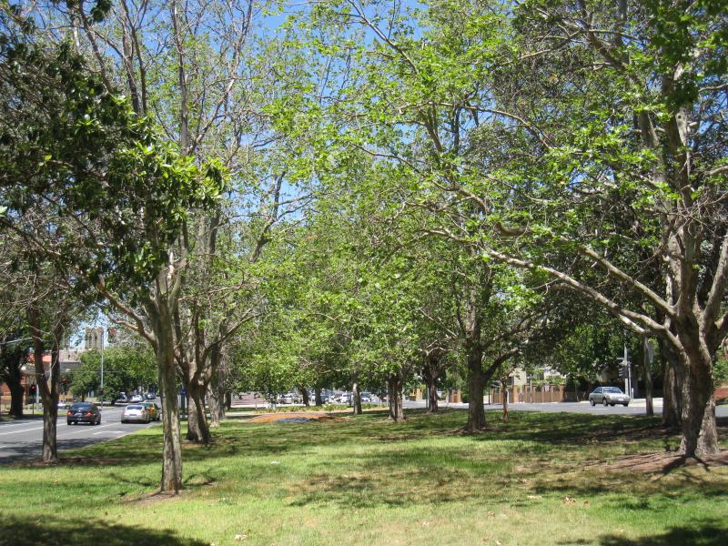Moonee Ponds - Mount Alexander Road: View south-east through gardens in centre of Mt Alexander Rd towards Taylor St