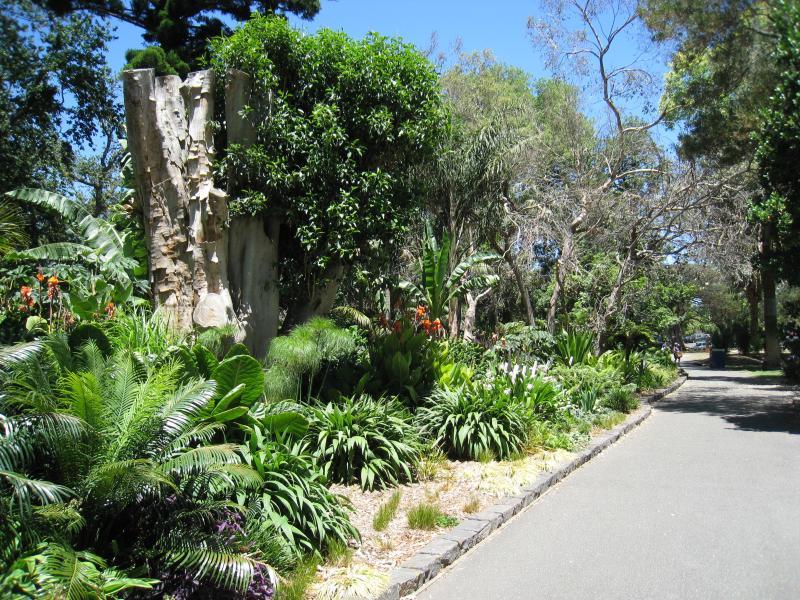 Moonee Ponds - Queens Park: Pathway through gardens near north-west corner of lake