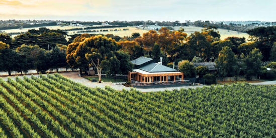 Barmah Park Vineyard, Moorooduc