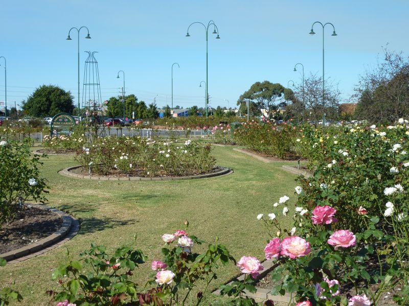 Morwell - Morwell Centenary Rose Garden, Maryvale Crescent and Commercial Road: View through rose garden towards Commercial Rd
