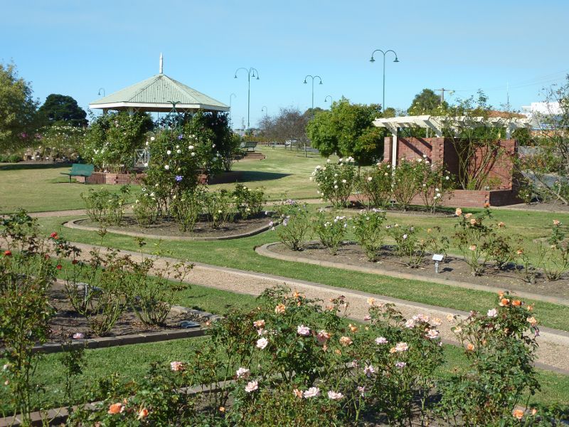 Morwell - Morwell Centenary Rose Garden, Maryvale Crescent and Commercial Road: North-easterly view through rose garden towards rotunda
