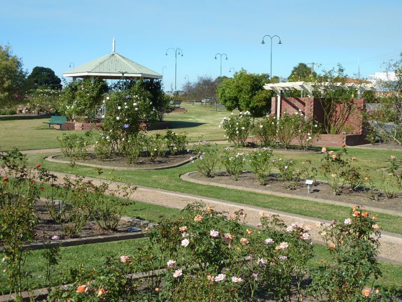 Morwell - Morwell Centenary Rose Garden, Maryvale Crescent and Commercial Road - North-easterly view through rose garden towards rotunda