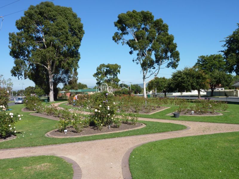 Morwell - Morwell Centenary Rose Garden, Maryvale Crescent and Commercial Road - South-westerly view through rose garden between Avondale Rd and Maryvale Cr