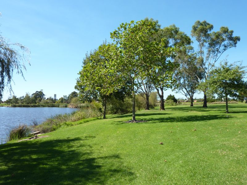 Morwell - Morwell Civic Gardens and Kernot Lake, Princes Drive: Easterly view along southern side of Lake Kernot