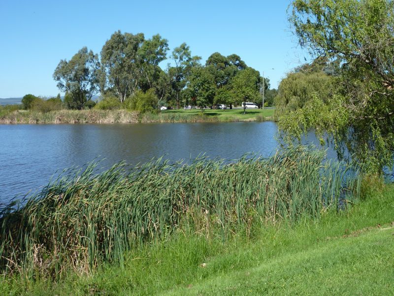 Morwell - Morwell Civic Gardens and Kernot Lake, Princes Drive: View across Kernot Lake near north-eastern end