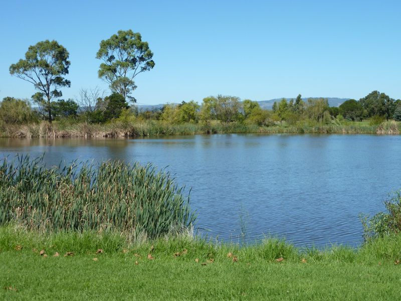 Morwell - Morwell Civic Gardens and Kernot Lake, Princes Drive: View across Kernot Lake near north-eastern end