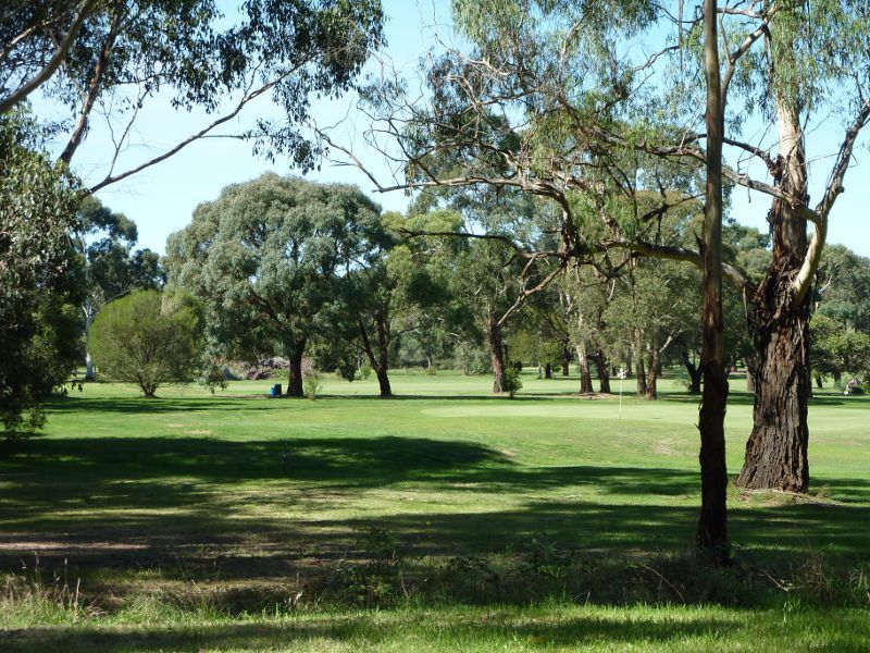Morwell - Morwell Golf Club, Fairway Drive: Green and surrounding bush fronting Fairway Dr