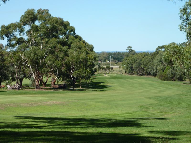Morwell - Morwell Golf Club, Fairway Drive: Fairway