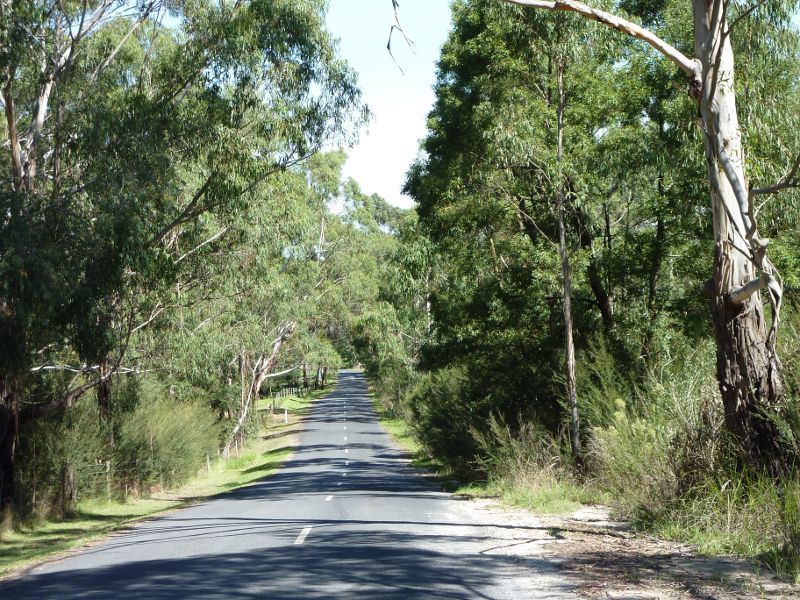 Morwell - Crinigan Road Bushland Reserve: View south along fairway Dr at entrance