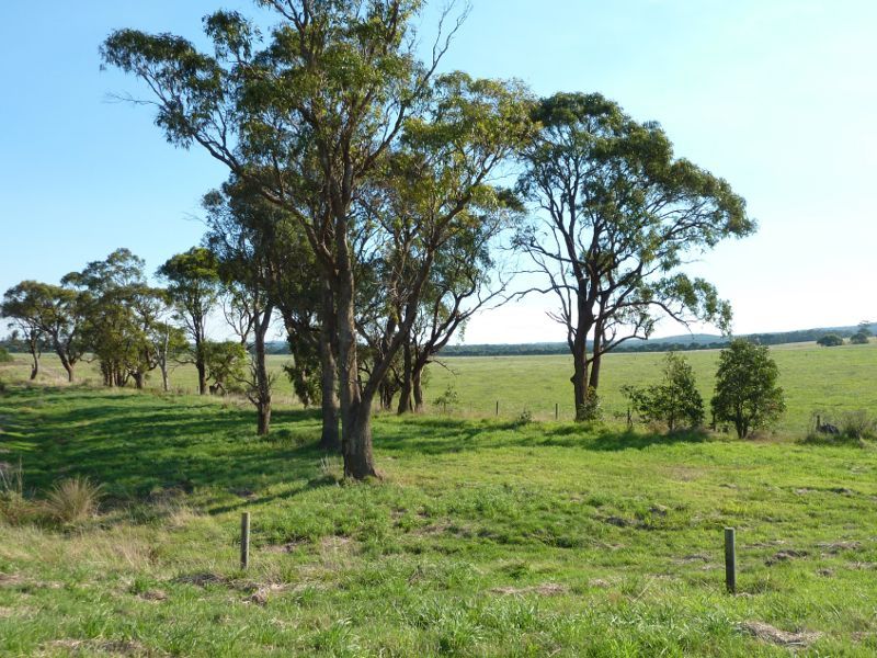 Morwell - Strzelecki Highway south-west of Morwell: View south-west from Strzelecki Hwy at Deans Rd