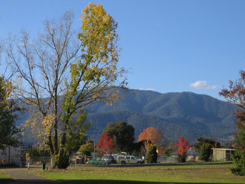 Mount Beauty - Bicentennial Park, Lakeside Avenue: View north through park