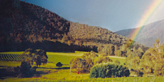 Ceccanti Kiewa Valley Wines, Mongans Bridge