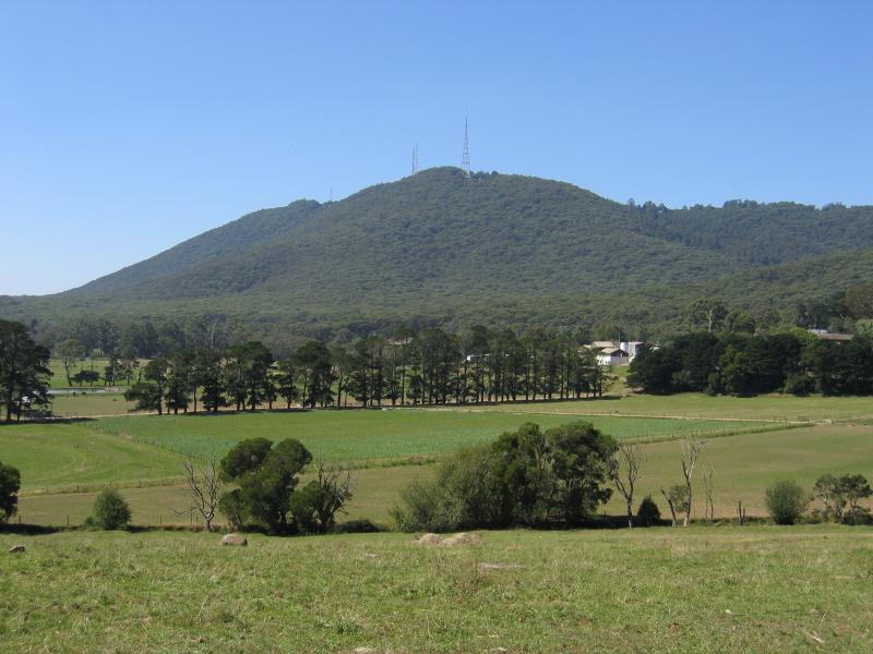 Mount Dandenong photos Travel Victoria & visitor guide