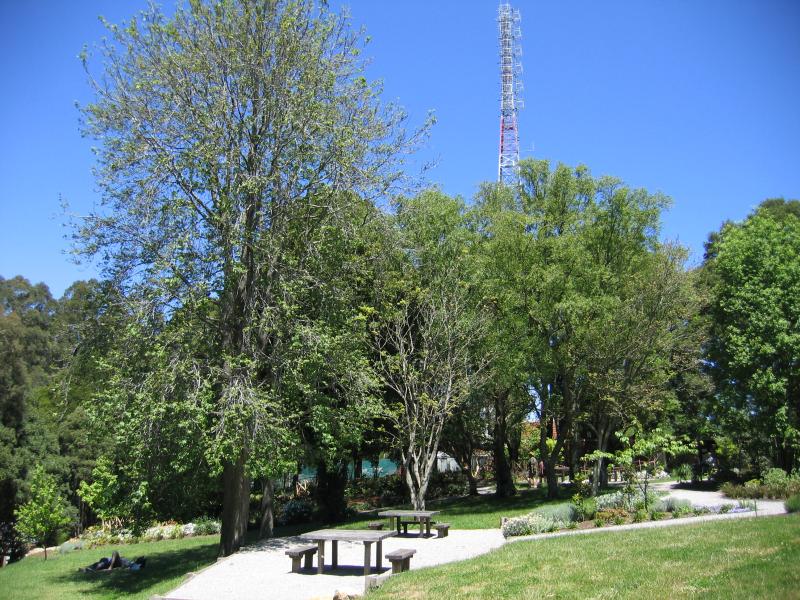 Mount Dandenong - Mount Dandenong Observatory, English Gardens: Gardens