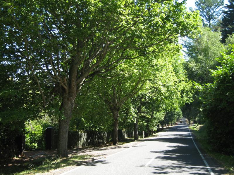 Mount Macedon - Mount Macedon Road: View south along Mt Macedon Rd, south of Sangsters Rd