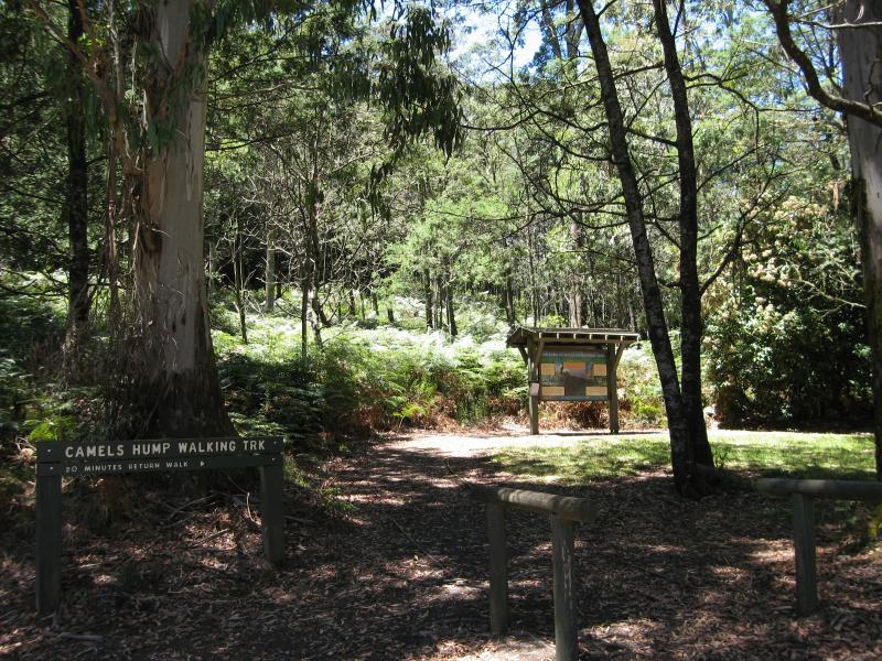 Mount Macedon - Camels Hump, Cameron Drive: Path to Camels Hump summit at car park
