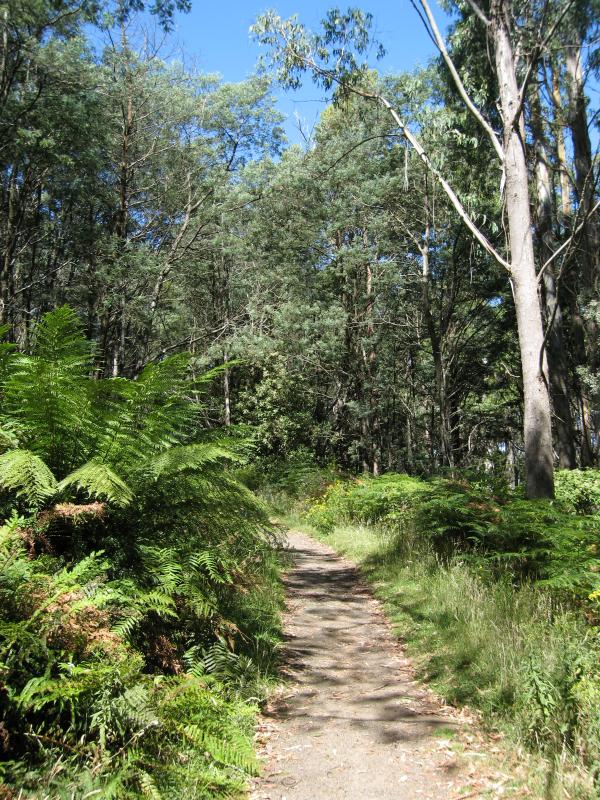 Mount Macedon - Camels Hump, Cameron Drive: Path to summit