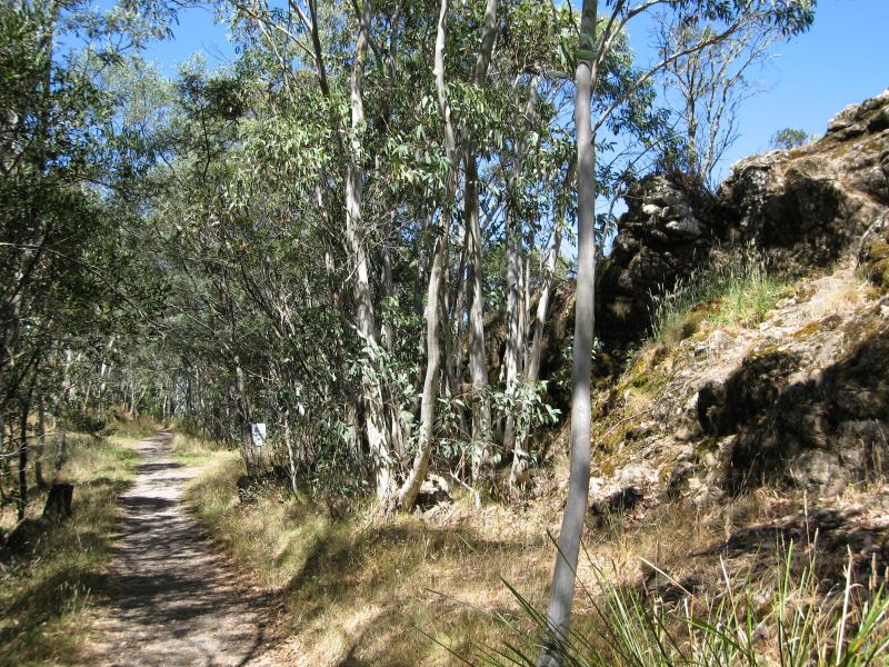 Mount Macedon - Camels Hump, Cameron Drive: Path approaching summit