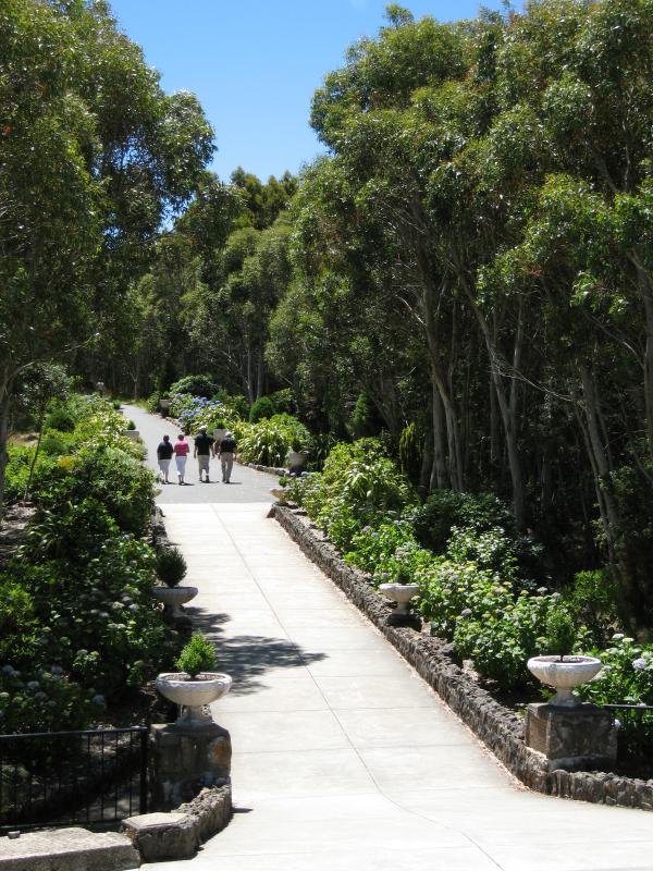 Mount Macedon - Memorial Cross, end of Cameron Drive: View north along path at memorial cross