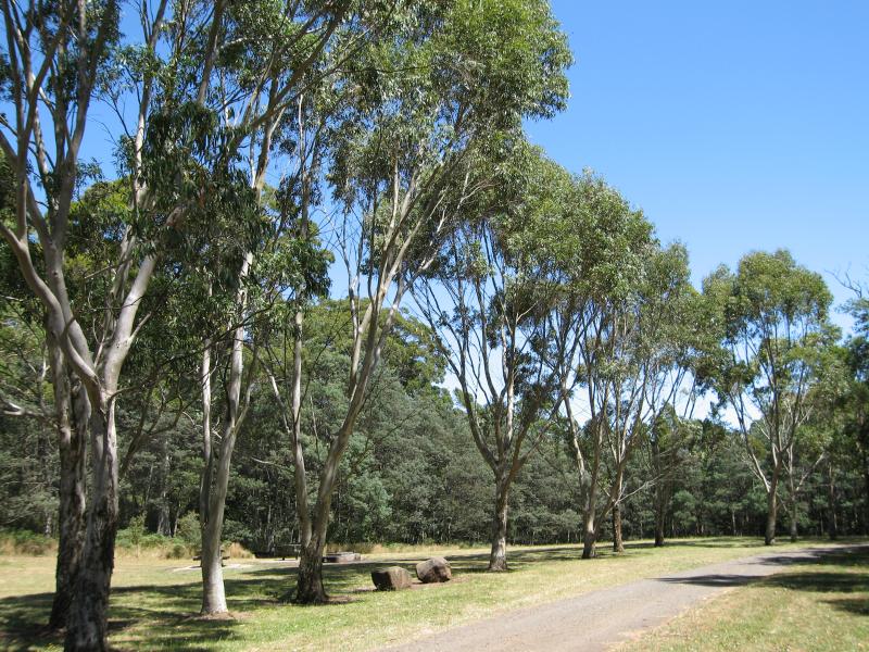 Mount Macedon - Sanatorium Lake and surrounds, Lions Head Road: Days Picnic Ground