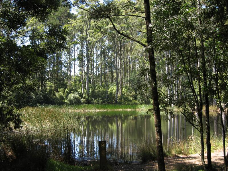 Mount Macedon - Sanatorium Lake and surrounds, Lions Head Road: Sanatorium Lake