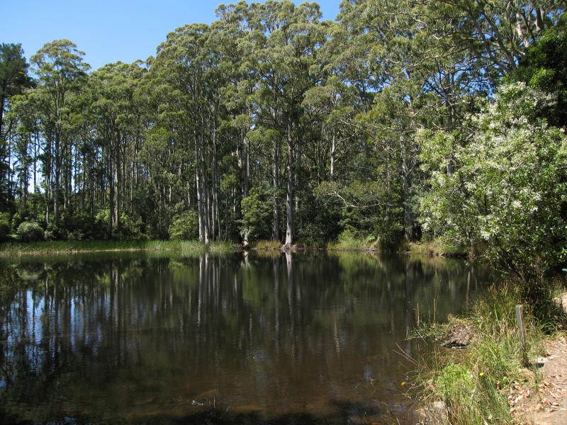 Mount Macedon - Sanatorium Lake and surrounds, Lions Head Road: Sanatorium Lake