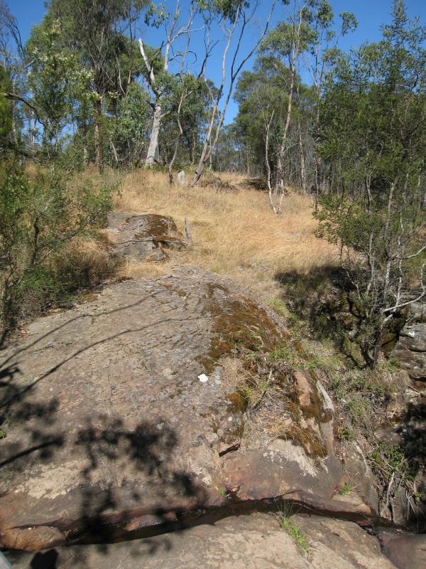 Mount Macedon - Stanley Park, Salisbury Road: View across Turitable Creek at top of waterfall