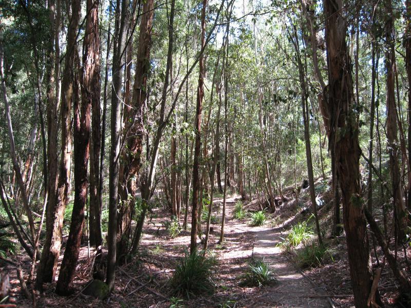 Mount Macedon - Stanley Park, Salisbury Road: Path at base of falls