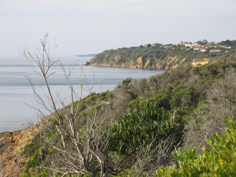 Mount Martha - Southern coast: View north-east along coast near Burdoo Way