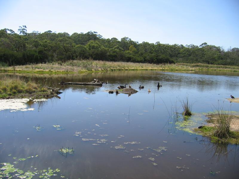Mount Martha - The Briars Park, Nepean Highway: View across wetlands from Chechingurk Hide