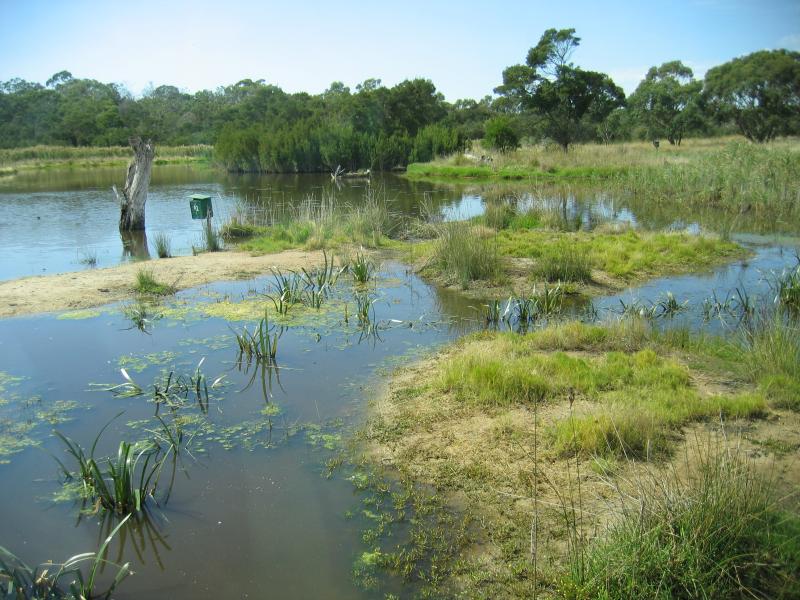 Mount Martha - The Briars Park, Nepean Highway: View across wetlands from Chechingurk Hide