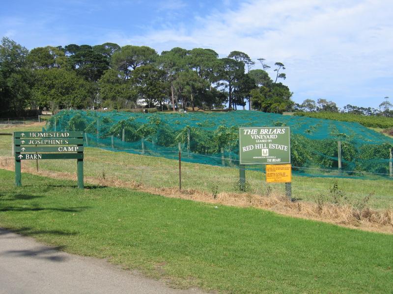 Mount Martha - The Briars Park, Nepean Highway: The Briars Vineyard, leased by Red Hill Estate