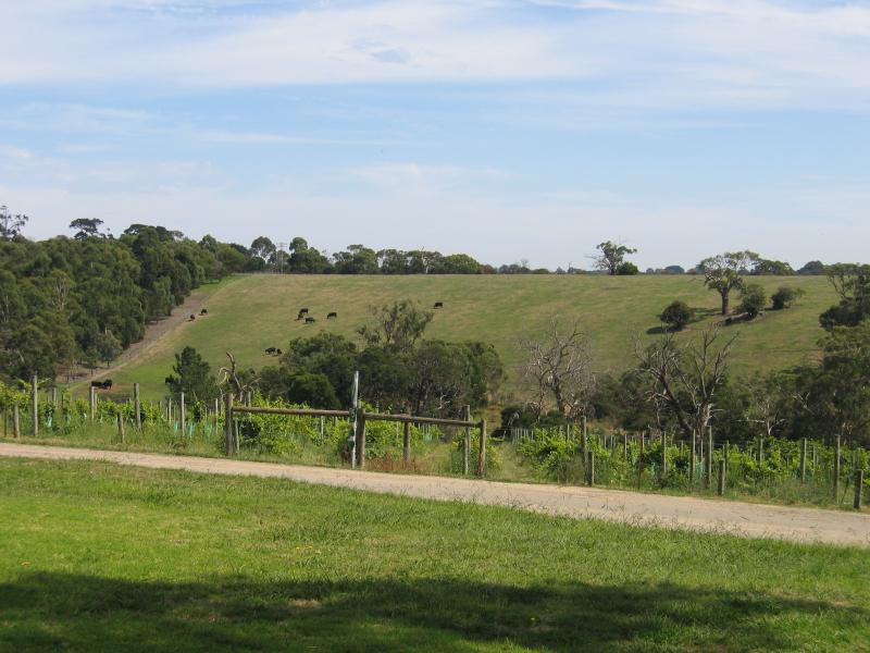 Mount Martha - The Briars Park, Nepean Highway: View of vineyard and grazing land from near Briars Homestead