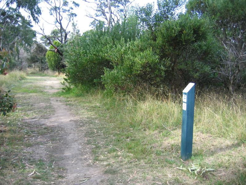 Mount Martha - Mount Martha Park: Summit of Mt Martha