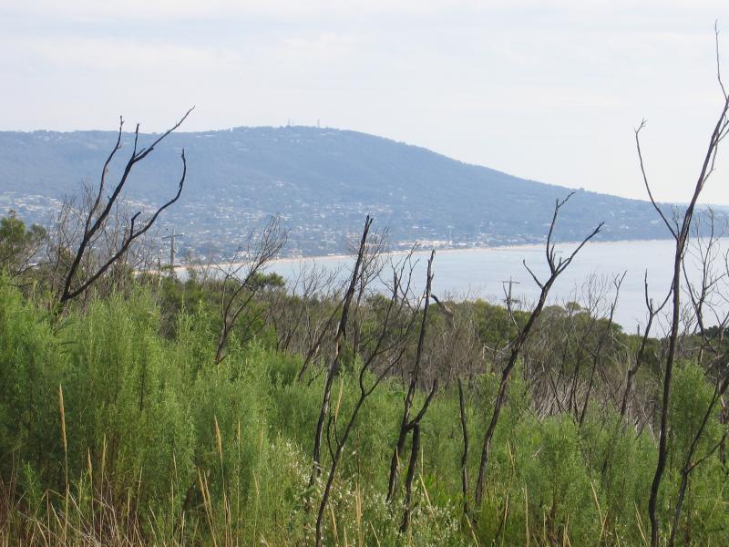 Mount Martha - Mount Martha Park: View near lookout tower, south-west towards Dromana and Arthurs Seat