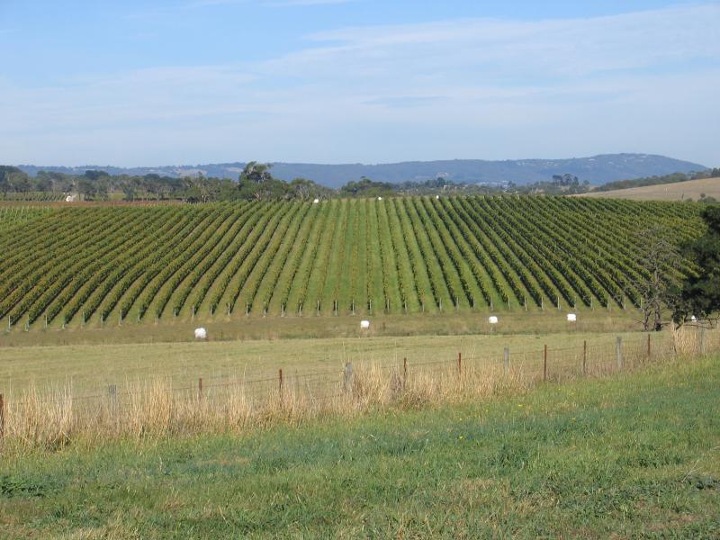 Mount Martha - Around Mount Martha: Winery viewed from Mornington Peninsula Freeway, south of Old Moorooduc Rd
