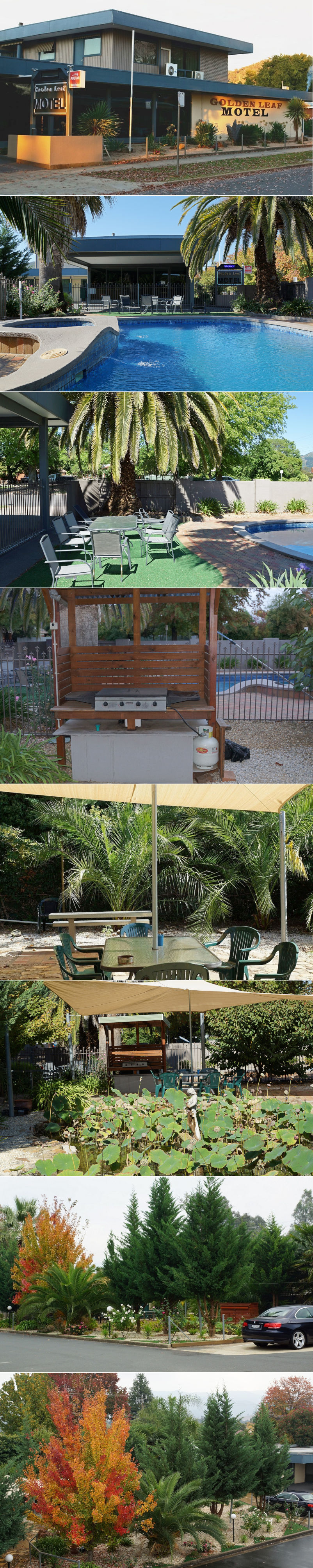 Golden Leaf Motel - Grounds and facilities