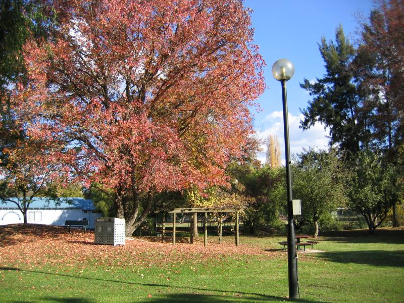 Myrtleford - Jubilee Park, Myrtle Street: View through park